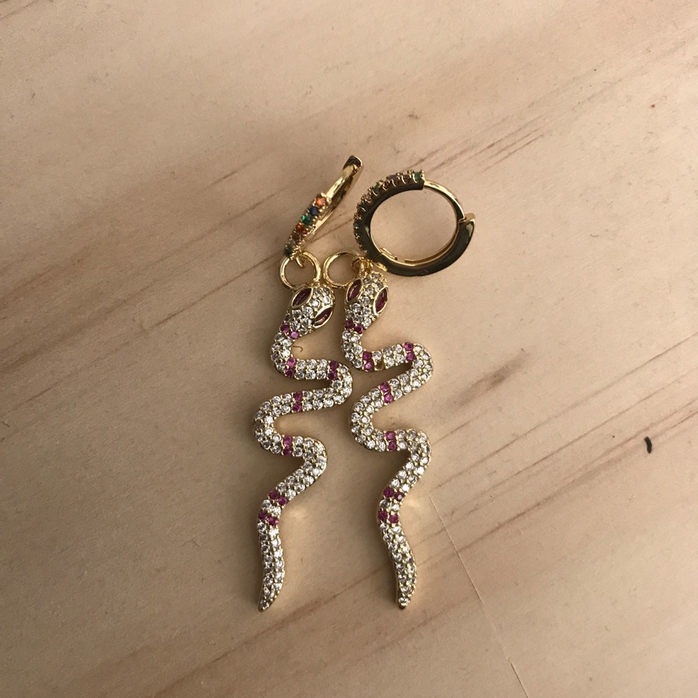 Earrings